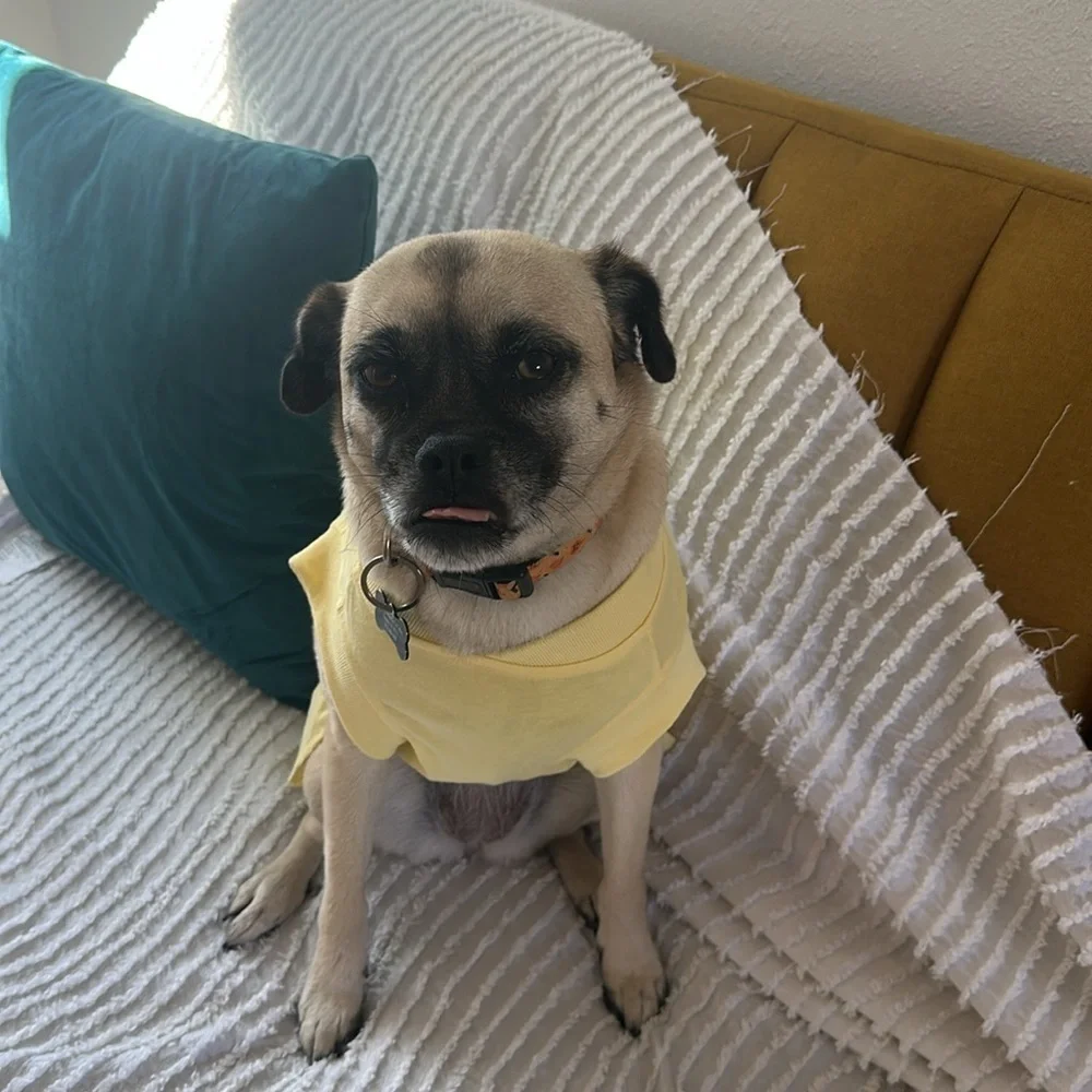 Life is Good Yellow Dog Dress
